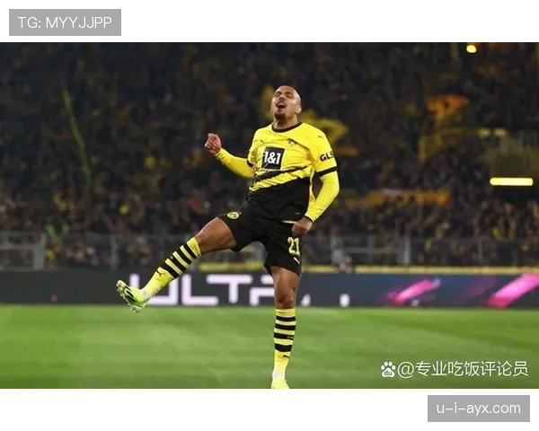 荷兰国家队开启欧洲杯争冠新征程,热血征程备受期待 荷兰国家队开启欧洲杯争冠新征程,热血征程备受期待